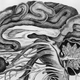 Illustration for article titled A new startup wants to upload your brain to a server, but with one very small catchem/em